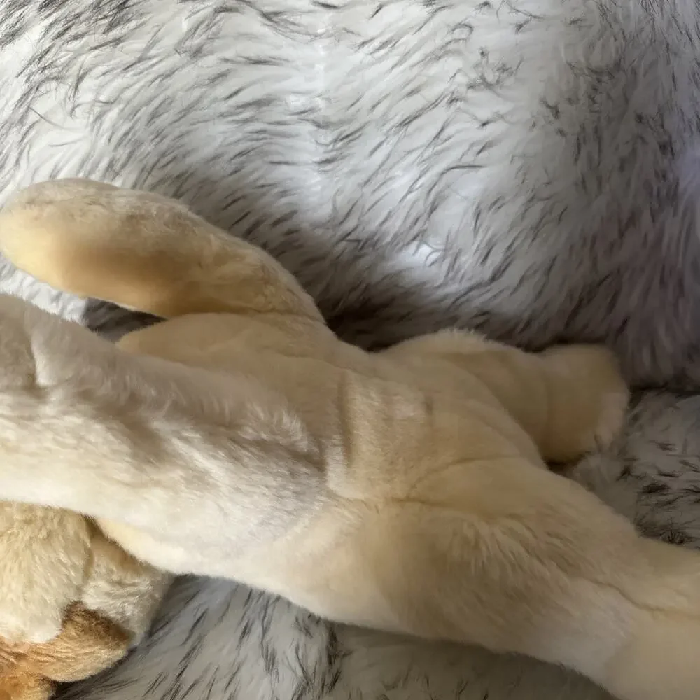 Gund Boo World's Cutest Dog 14